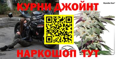 твердый Малоярославец