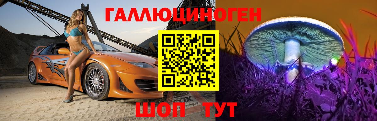 Галлюциногенные грибы Cubensis Добрянка